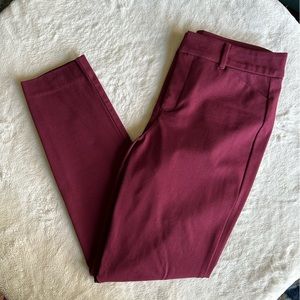 Burgundy Dress Pants Straight Leg